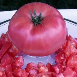 Гибридный сорт от японских селекционеров - томат 