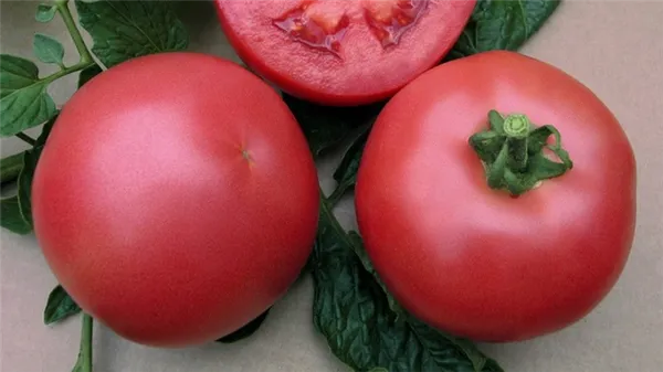 Томат Пинк парадайз: райский гибрид для нашего салата. Пинк парадайз томат. 2