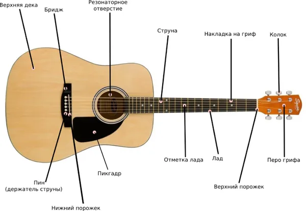 Части гитары | Блог musicmarket