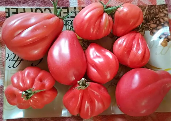 крупные томаты со сладкой мякотью
