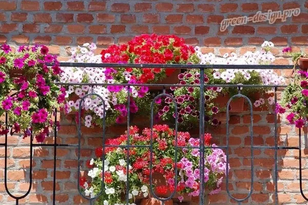 Цветы на балконе в вертикальном расположении
