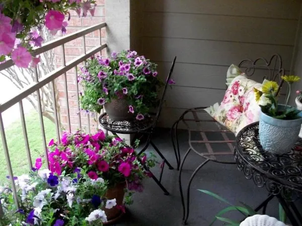 Как использовать цветы для оформления балкона и лоджии. Цветы на балконе. 5