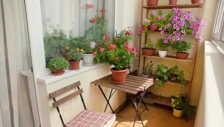 Как использовать цветы для оформления балкона и лоджии?