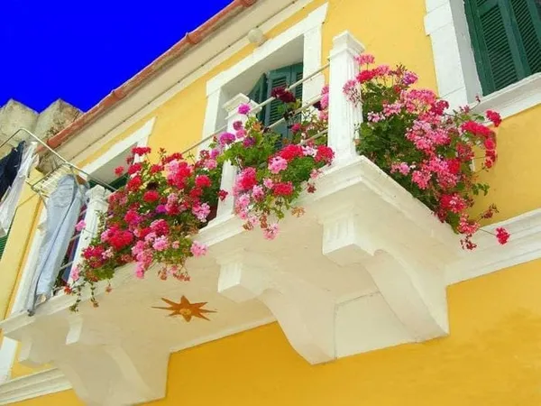шикарные цветы в интерьере балкона на перемычках пример