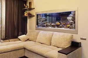 Как встроить аквариум в стену и все варианты встраивания. Аквариум в стене. 2