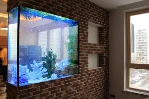 Как встроить аквариум в стену и все варианты встраивания. Аквариум в стене. 3