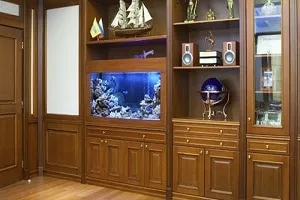 Как встроить аквариум в стену и все варианты встраивания. Аквариум в стене. 6