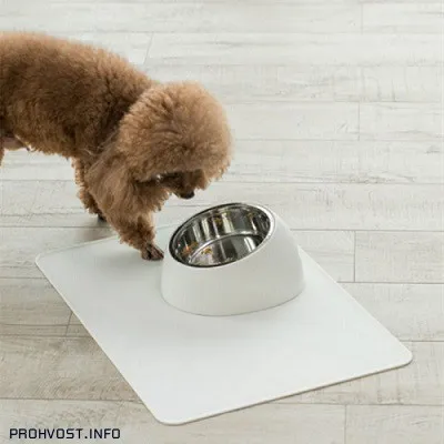Какая высота миски для собаки оптимальна при кормлении. Миски для собак. 4