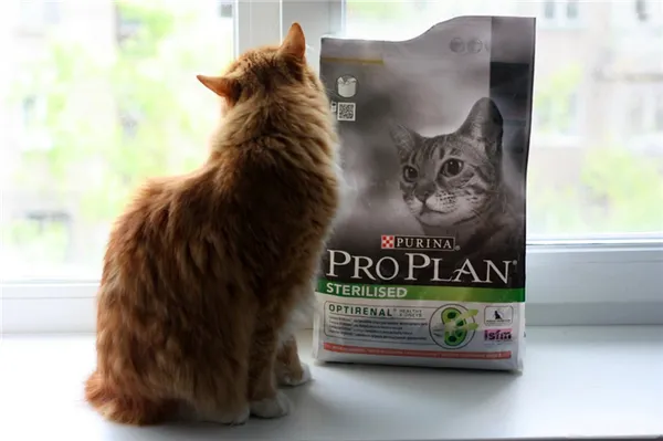 Отзыв о корме для кошек ПроПлан