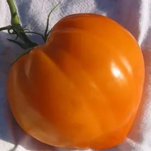 Устойчивые помидоры с высокой урожайностью для теплицы и грунта - томат 