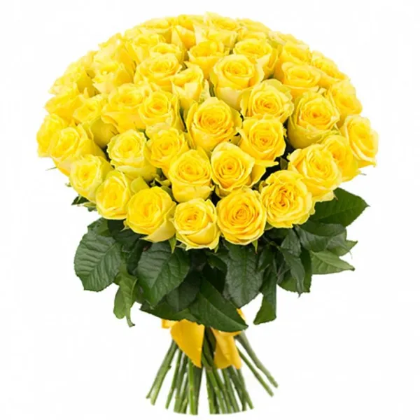 Желтые розы как символ примирения