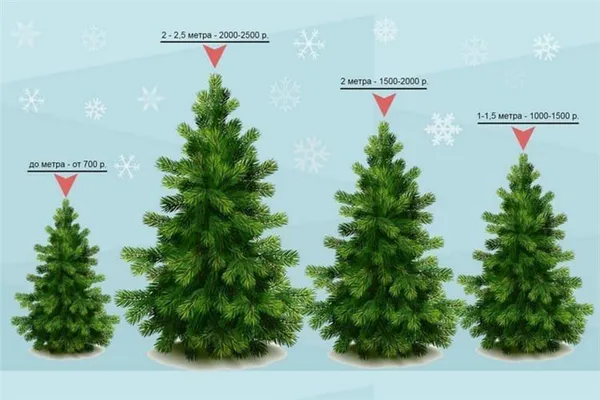 Размер елки