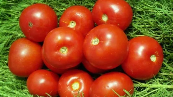 Как вырастить томат 