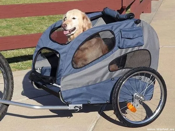 велотрейлер для собаки