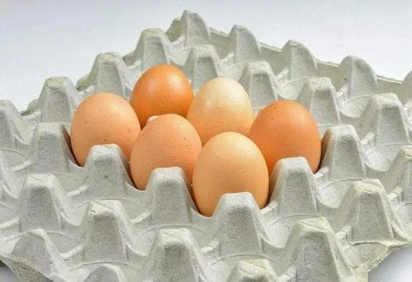 Лоток для куриных яиц