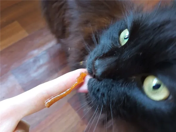 Как действует паста для вывода шерсти у кошек