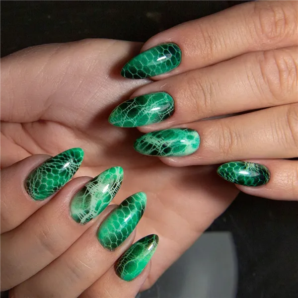 Маникюр с изображением рептилий и змеиной кожи на ногтях. Маникюр со змеей. 58