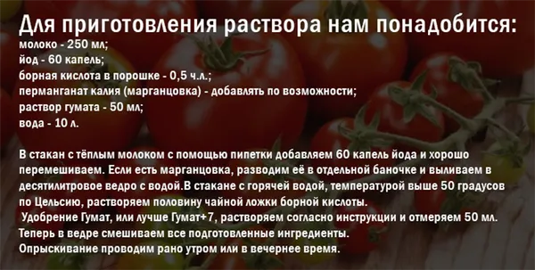 Способы применения борной кислоты для томатов. Опрыскивание томатов борной кислотой. 2