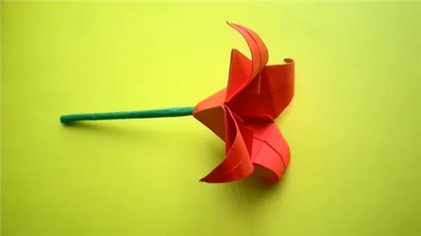 Цветок лилия
