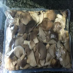 Как хранить свежие грибы в домашних условиях
