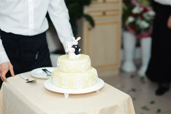 Свадебные торты (двухъярусные). Свадебный торт двухъярусный. 14