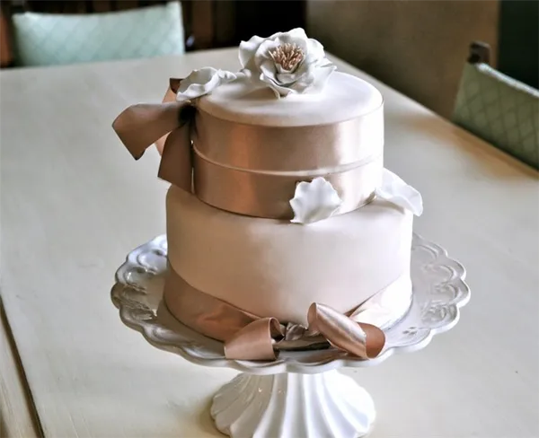 Свадебные торты (двухъярусные). Свадебный торт двухъярусный. 49