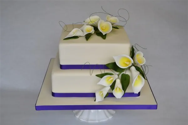 Свадебные торты (двухъярусные). Свадебный торт двухъярусный. 3