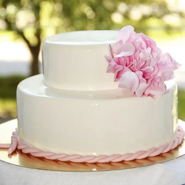белый свадебный торт из двух ярусов