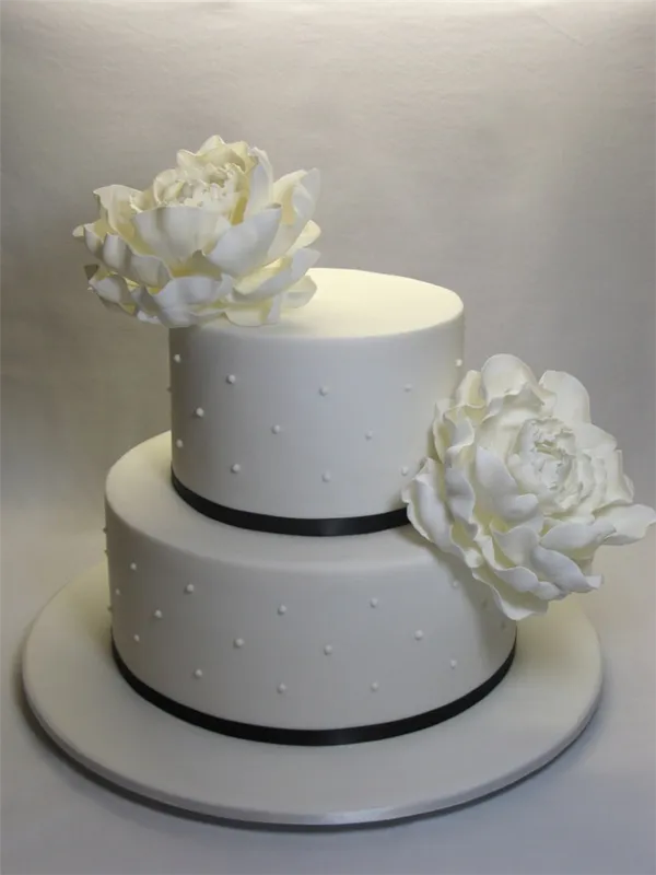 Свадебные торты (двухъярусные). Свадебный торт двухъярусный. 35