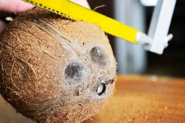 Подготовка кокоса