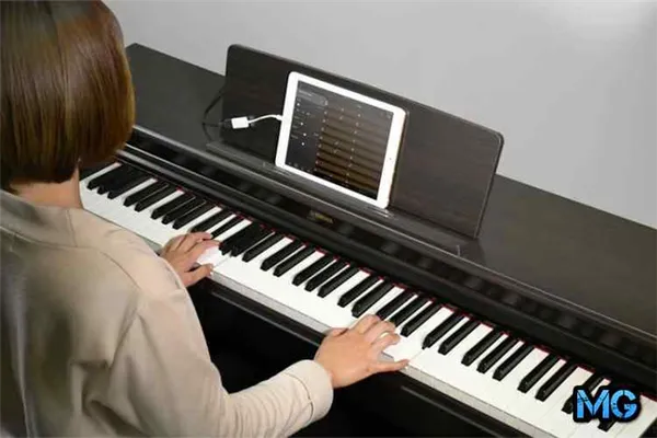 Лучшие цифровые пианино: ТОП-10