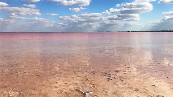Фотографии соленого озера розового цвета - Сасык-Сиваш город Саки.