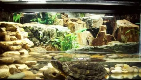Как правильно обустроить аквариум для черепах. Аквариум для черепахи. 7
