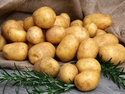 Репродукция картофеля, что это? Это должен знать каждый. Что такое репродукция картофеля. 1