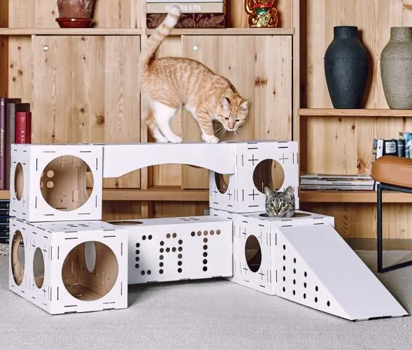 Как сделать домик для кошки своими руками из картонной коробки: пошаговые инструкции с фото. Домик для кошки из коробки. 6
