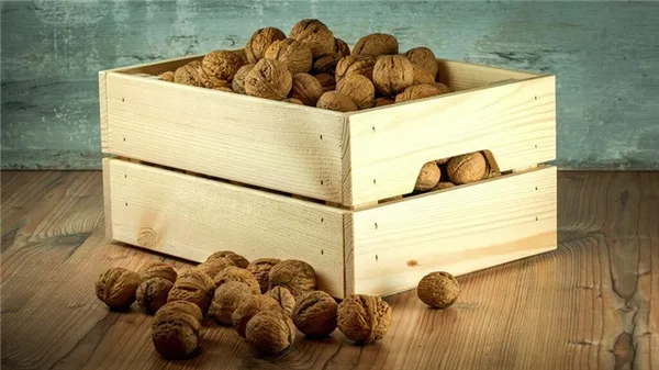 Хранение грецких орехов: основные правила. Как хранить грецкие орехи. 7